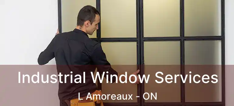  Industrial Window Services L Amoreaux - ON