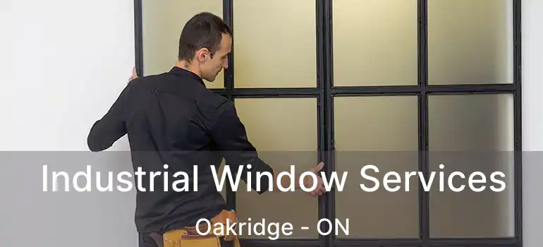  Industrial Window Services Oakridge - ON