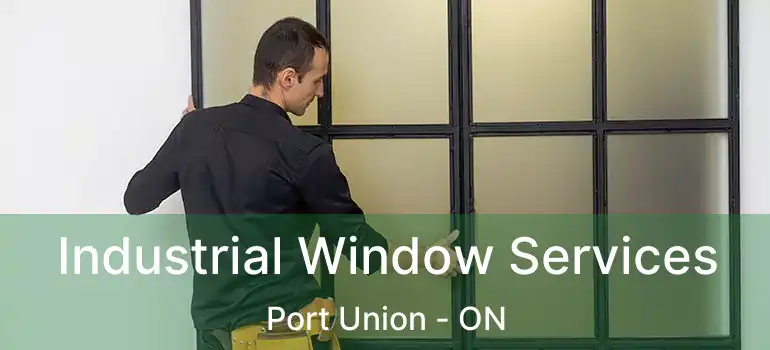  Industrial Window Services Port Union - ON