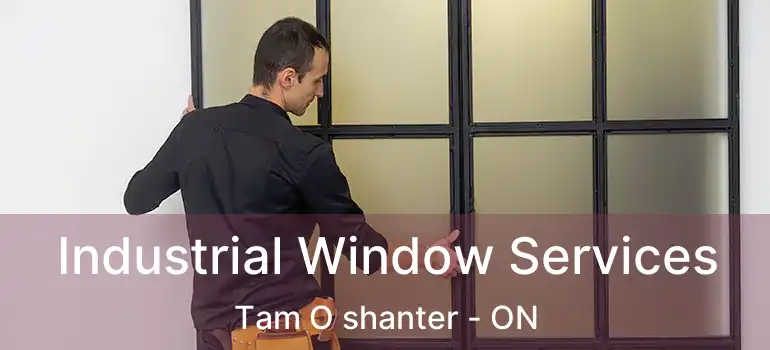  Industrial Window Services Tam O shanter - ON