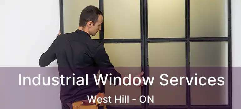  Industrial Window Services West Hill - ON