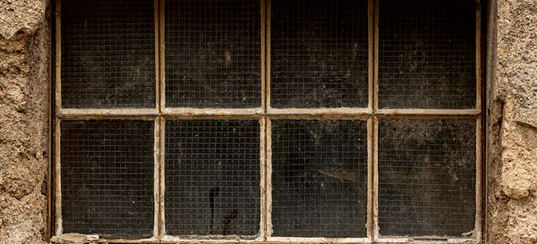 Traditional Double Front Doors in Port Union, Ontario