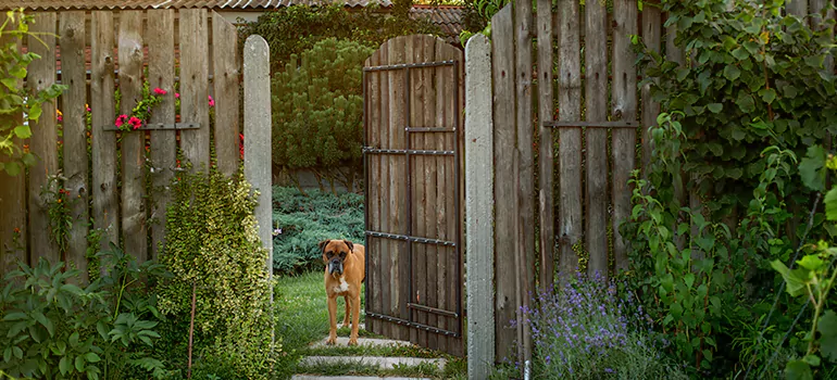 Winter Garden Garage Door Repair in Scarborough,Ontario