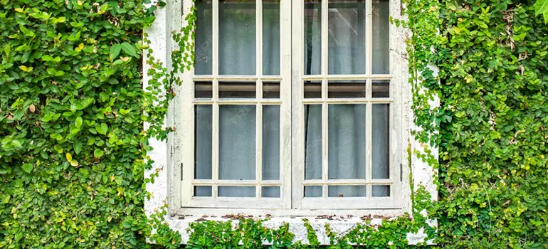 Garden Window Repair Near Me in Bendale, ON