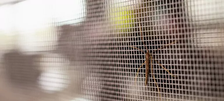 Repair Mosquito Mesh For Windows in Steeled, Ontario