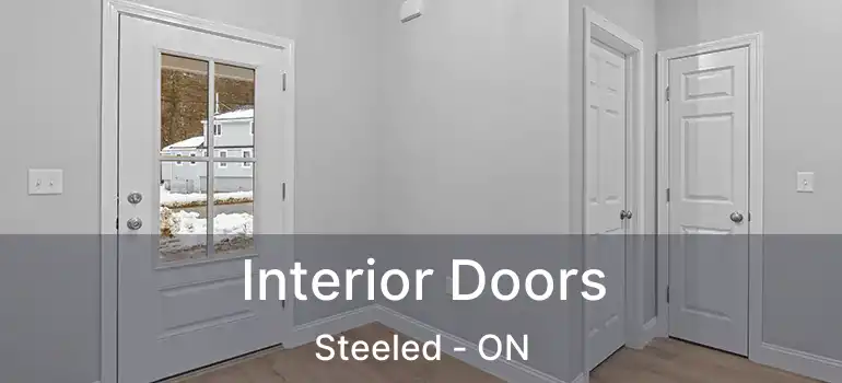  Interior Doors Steeled - ON