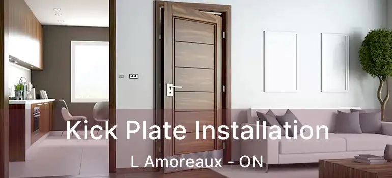 Kick Plate Installation L Amoreaux - ON