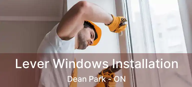  Lever Windows Installation Dean Park - ON