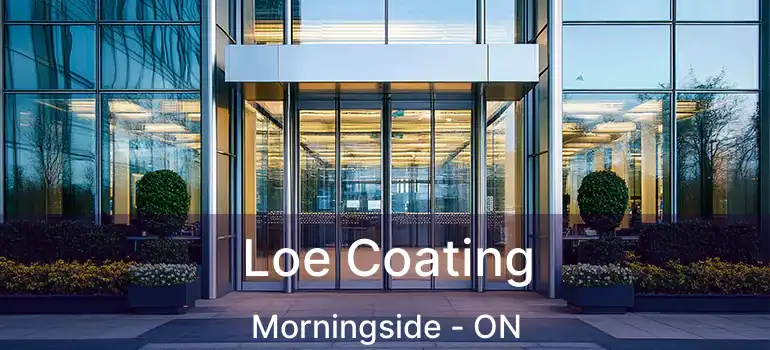Loe Coating Morningside - ON