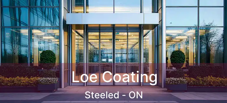 Loe Coating Steeled - ON