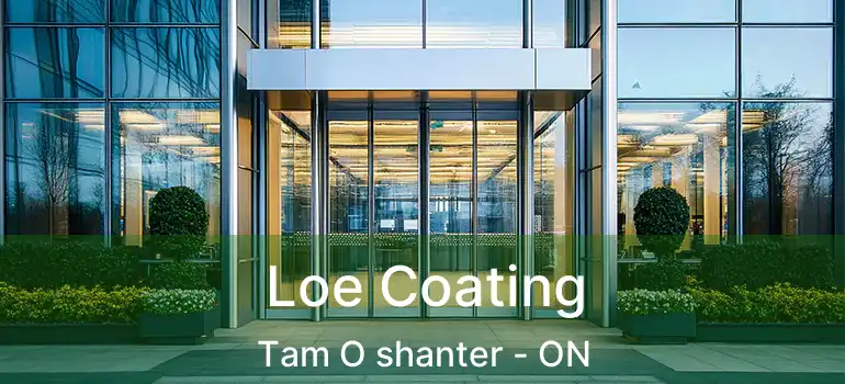 Loe Coating Tam O shanter - ON