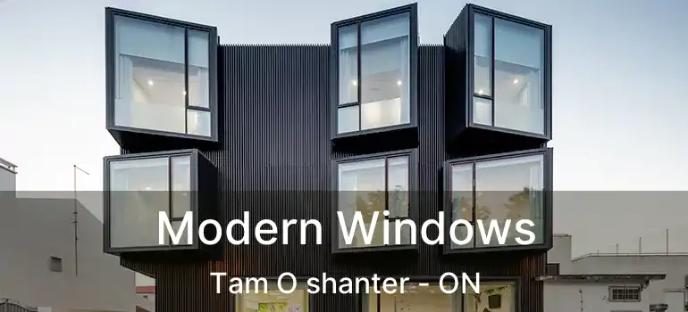  Modern Windows Tam O shanter - ON