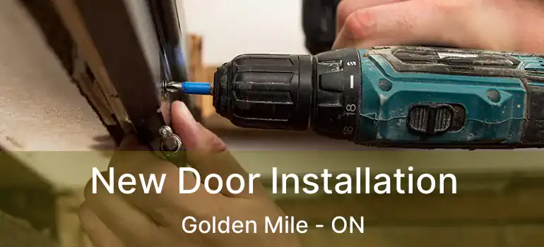  New Door Installation Golden Mile - ON