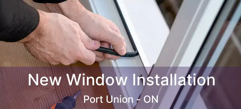  New Window Installation Port Union - ON