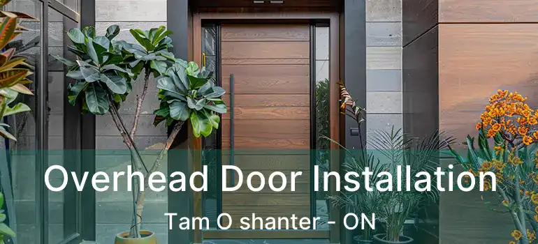  Overhead Door Installation Tam O shanter - ON