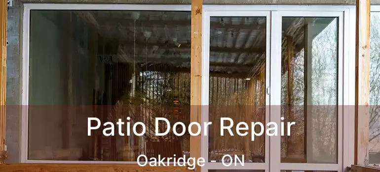  Patio Door Repair Oakridge - ON