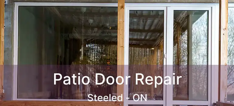  Patio Door Repair Steeled - ON