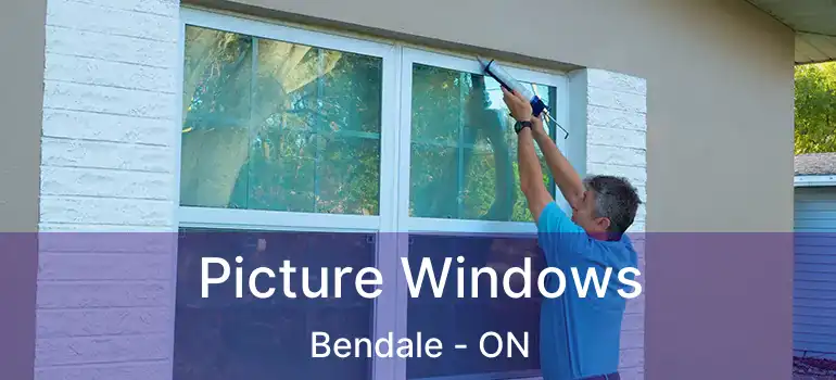  Picture Windows Bendale - ON