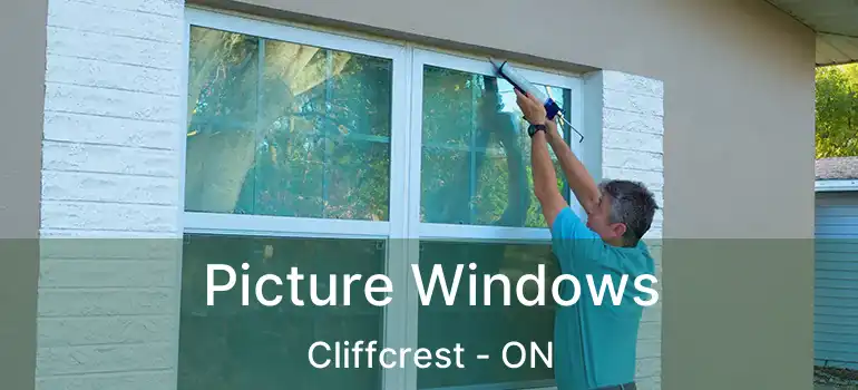  Picture Windows Cliffcrest - ON