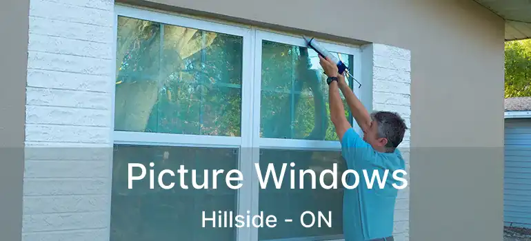  Picture Windows Hillside - ON