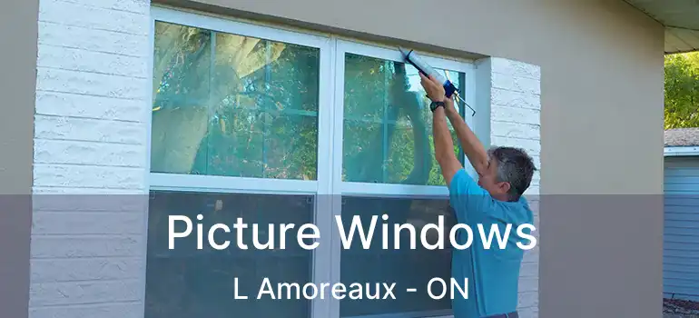  Picture Windows L Amoreaux - ON