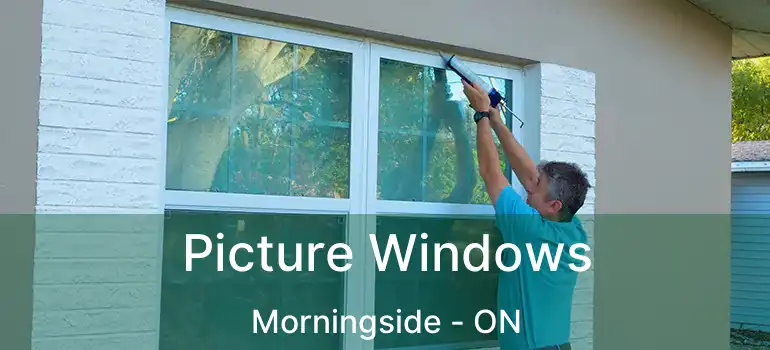  Picture Windows Morningside - ON