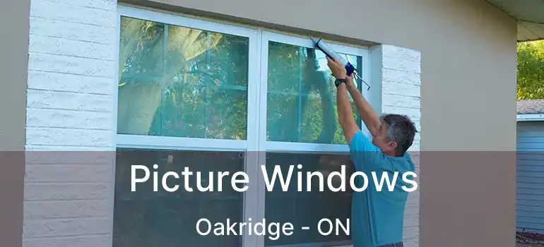  Picture Windows Oakridge - ON