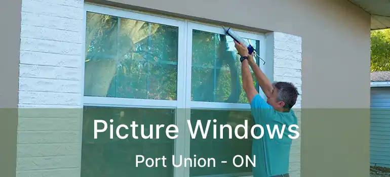 Picture Windows Port Union - ON