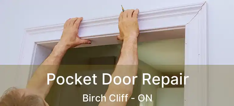  Pocket Door Repair Birch Cliff - ON