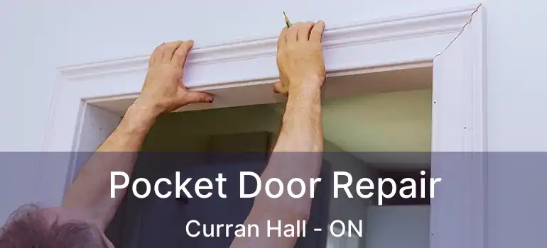  Pocket Door Repair Curran Hall - ON
