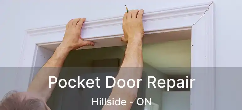  Pocket Door Repair Hillside - ON