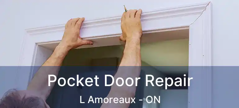  Pocket Door Repair L Amoreaux - ON