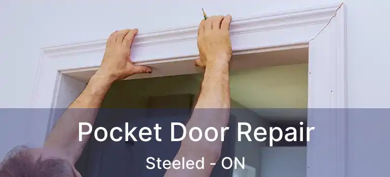 Pocket Door Repair Steeled - ON