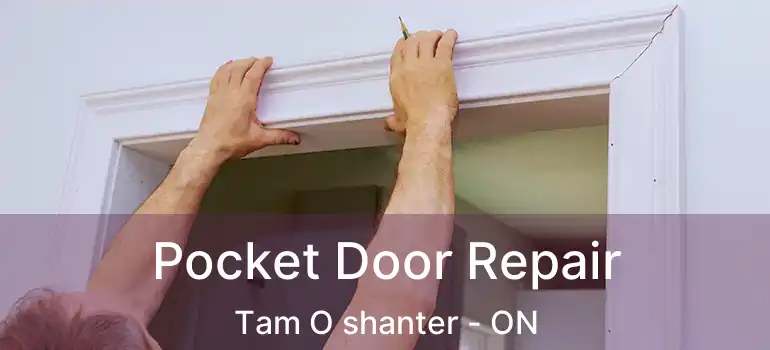 Pocket Door Repair Tam O shanter - ON