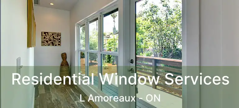  Residential Window Services L Amoreaux - ON