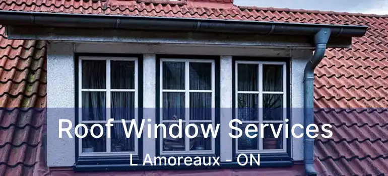  Roof Window Services L Amoreaux - ON