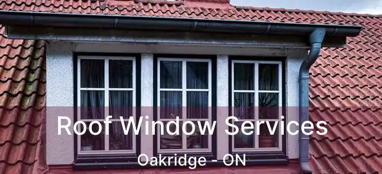  Roof Window Services Oakridge - ON