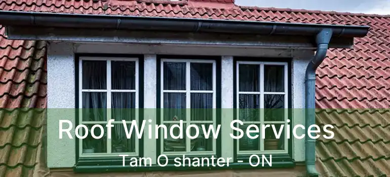  Roof Window Services Tam O shanter - ON