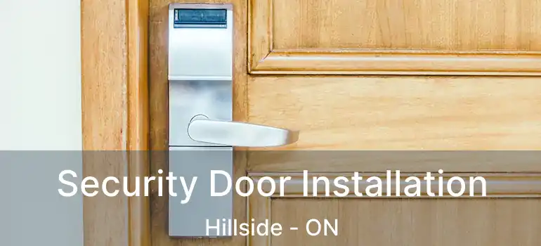  Security Door Installation Hillside - ON
