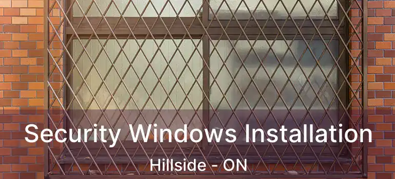  Security Windows Installation Hillside - ON
