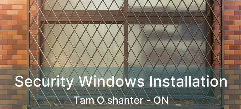  Security Windows Installation Tam O shanter - ON