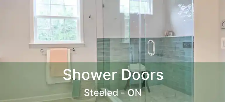  Shower Doors Steeled - ON