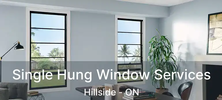  Single Hung Window Services Hillside - ON