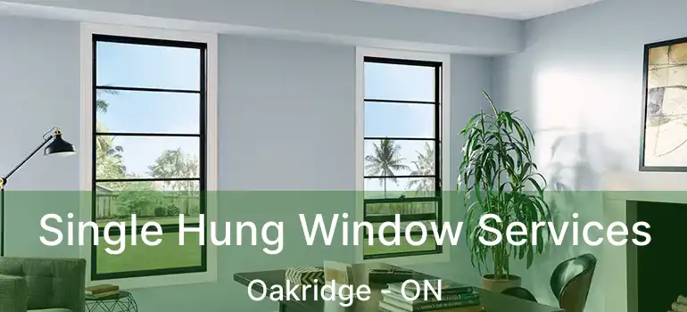  Single Hung Window Services Oakridge - ON