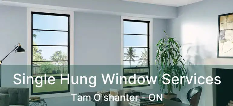  Single Hung Window Services Tam O shanter - ON