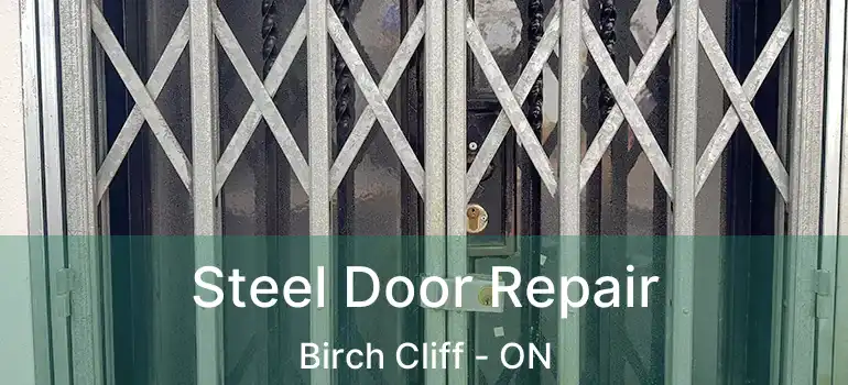  Steel Door Repair Birch Cliff - ON