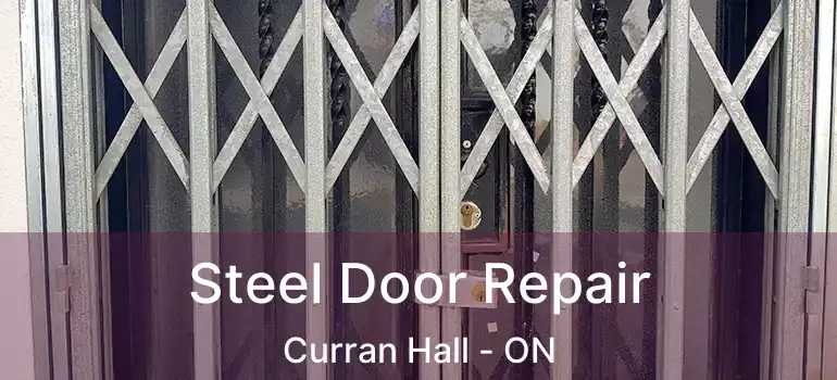 Steel Door Repair Curran Hall - ON