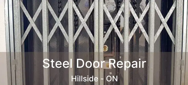  Steel Door Repair Hillside - ON