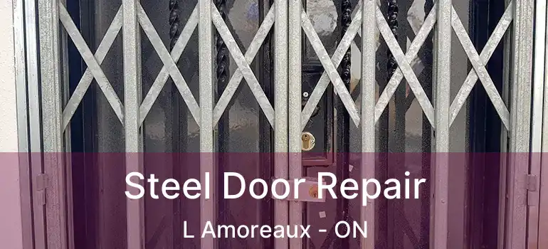  Steel Door Repair L Amoreaux - ON