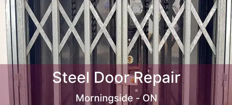 Steel Door Repair Morningside - ON